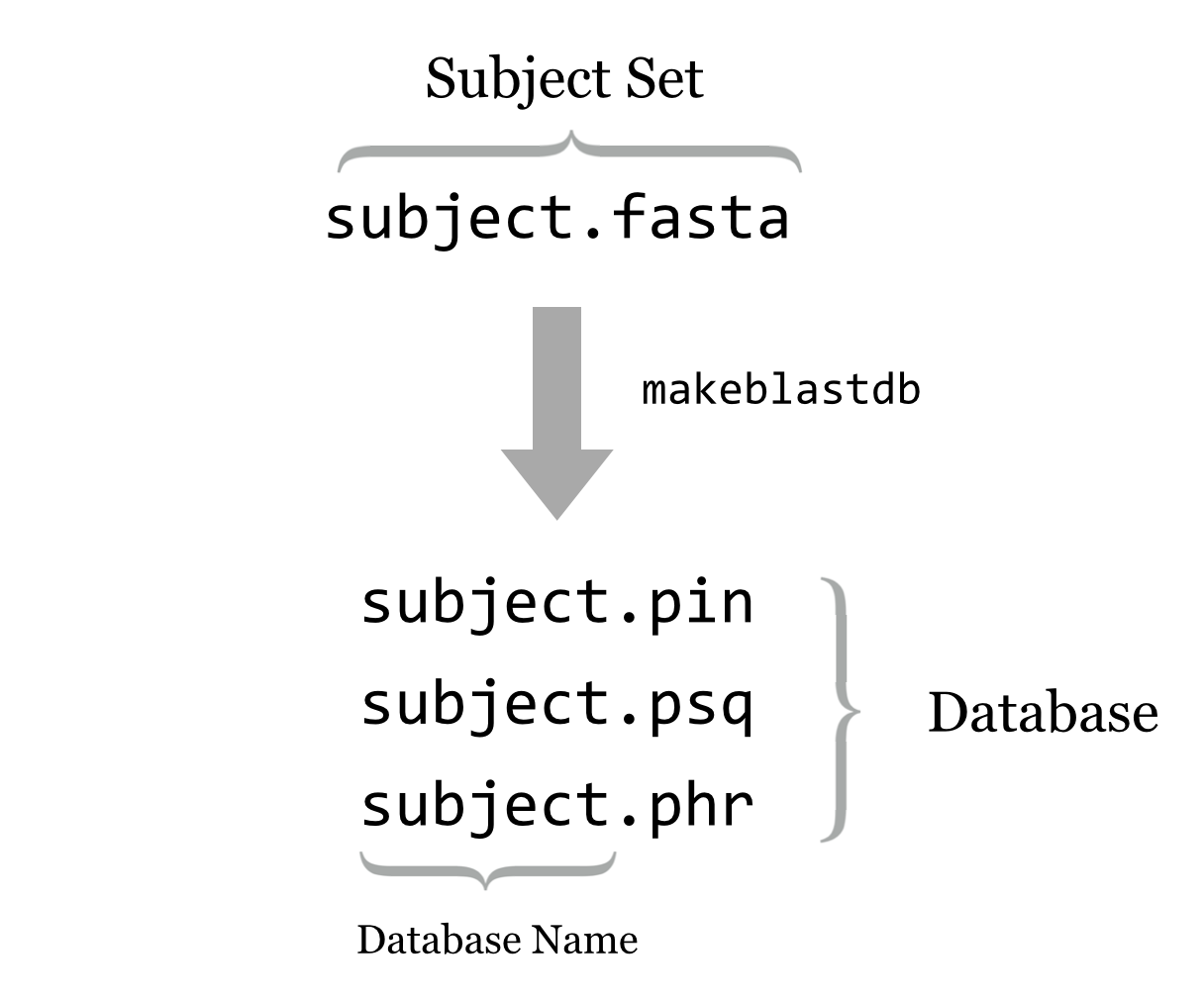 BLAST databases naming conventions